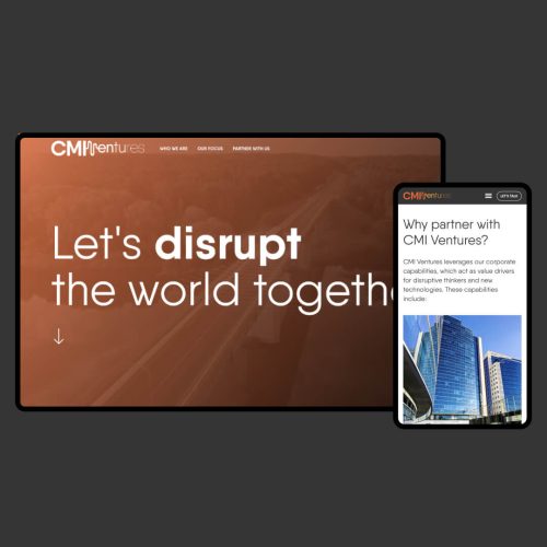 CMI Ventures
